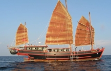 SY June Hong Chian Lee (THE JUNK)